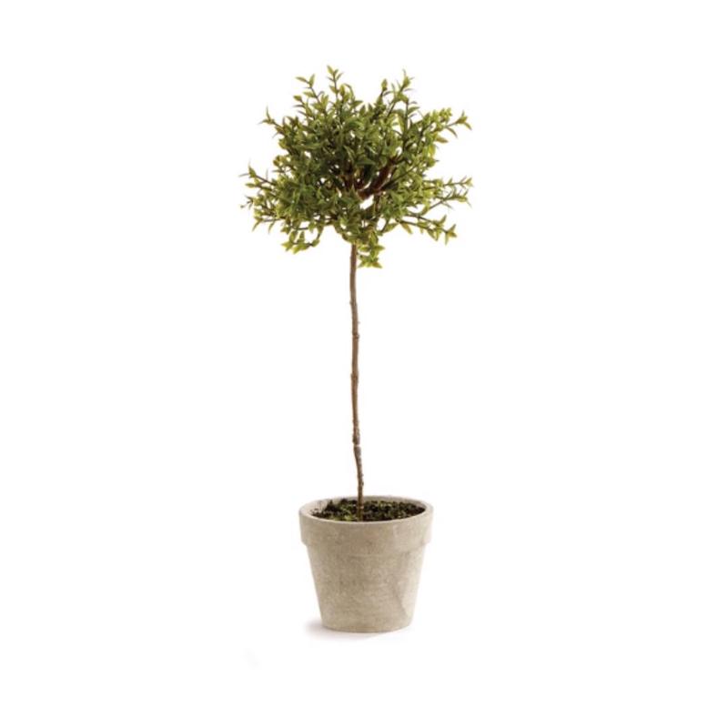 NAPA HOME AND GARDEN - THYME TOPIARY 13