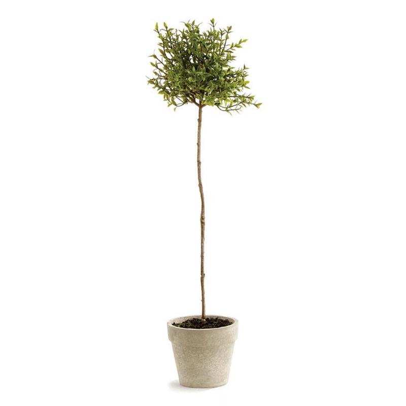 NAPA HOME AND GARDEN - THYME TOPIARY 16