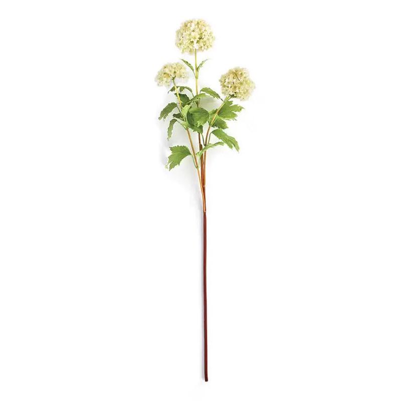 NAPA HOME AND GARDEN - VIBURNUM STEM