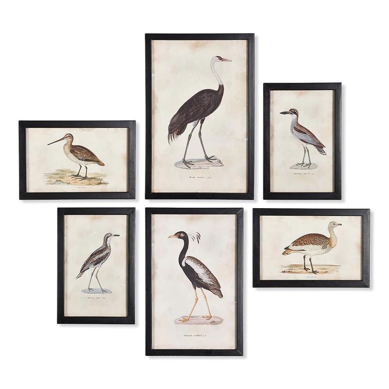 NAPA HOME AND GARDEN - WATERFOWL GALLERY ART MEDIUM