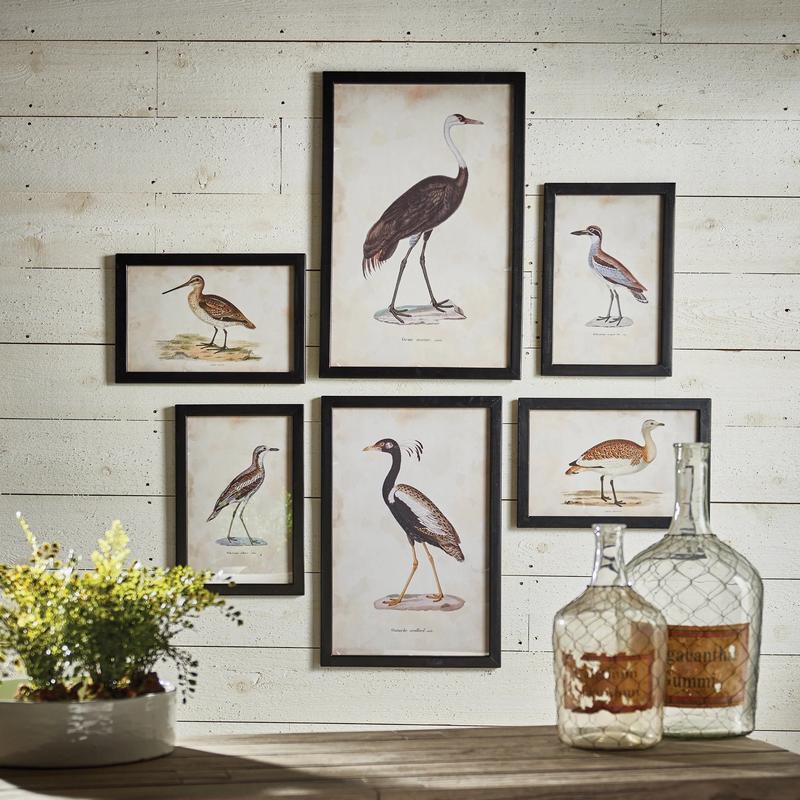 NAPA HOME AND GARDEN - WATERFOWL GALLERY ART SMALL