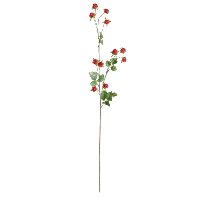NAPA HOME AND GARDEN - WILD RASPBERRY STEM 31\"